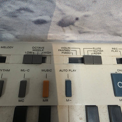 Casio VL-Tone VL-1 Digital Synth
