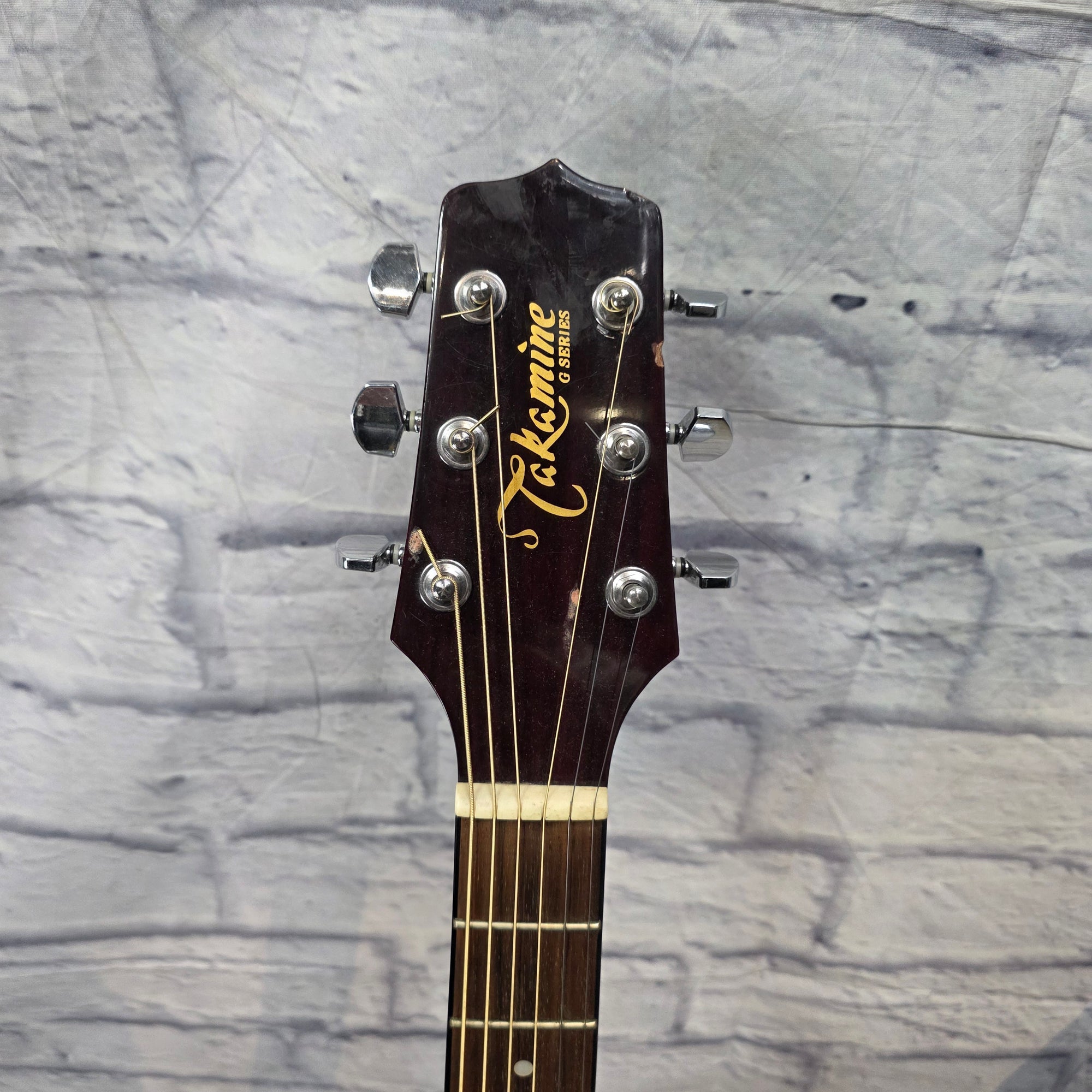 Takamine EG540C Acoustic Guitar