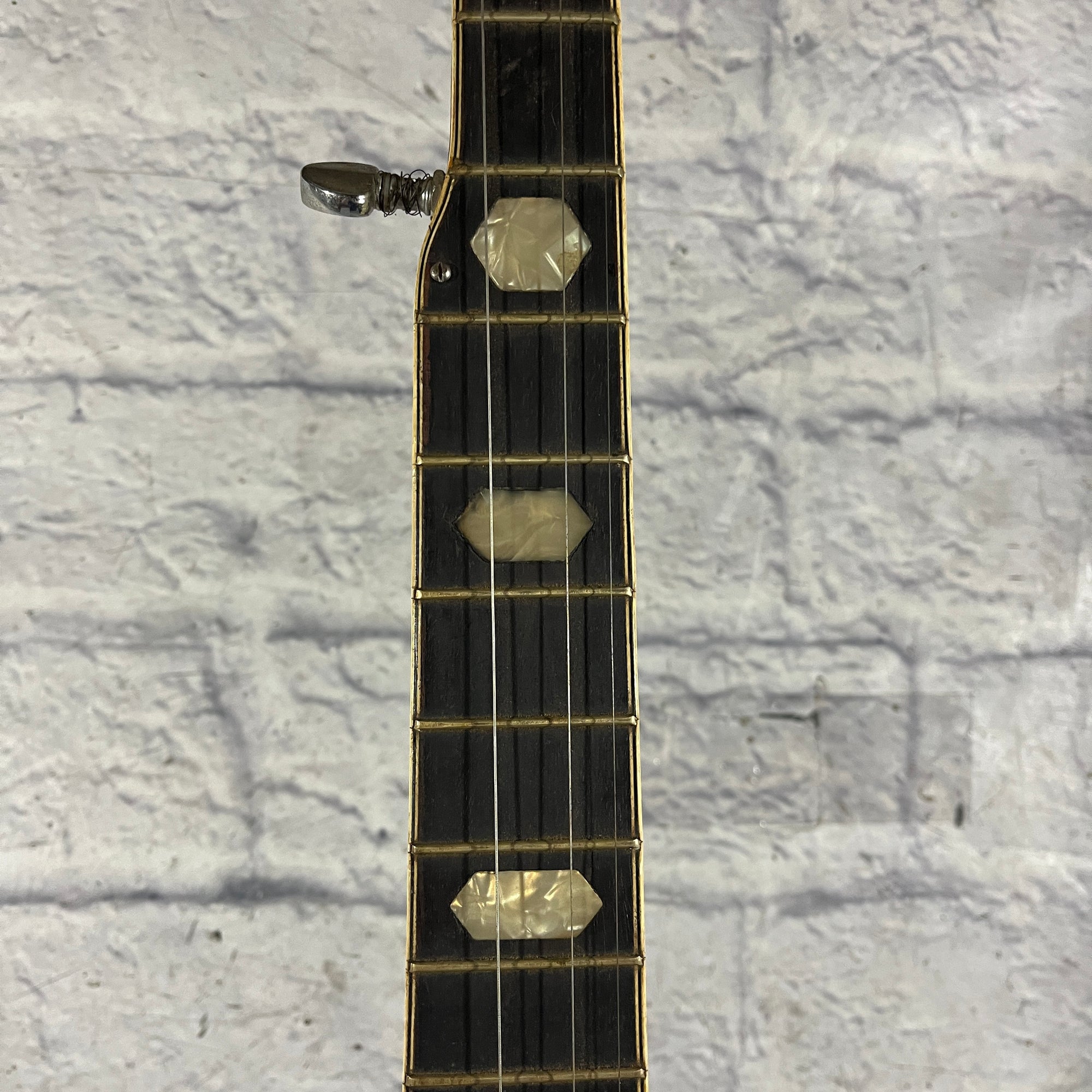 Vivi 5 String Banjo