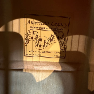 Esteban AS IS Acoustic Guitar AL-100 Acoustic Guitar