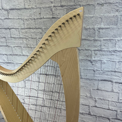 Salvi Titan Harp with Cover