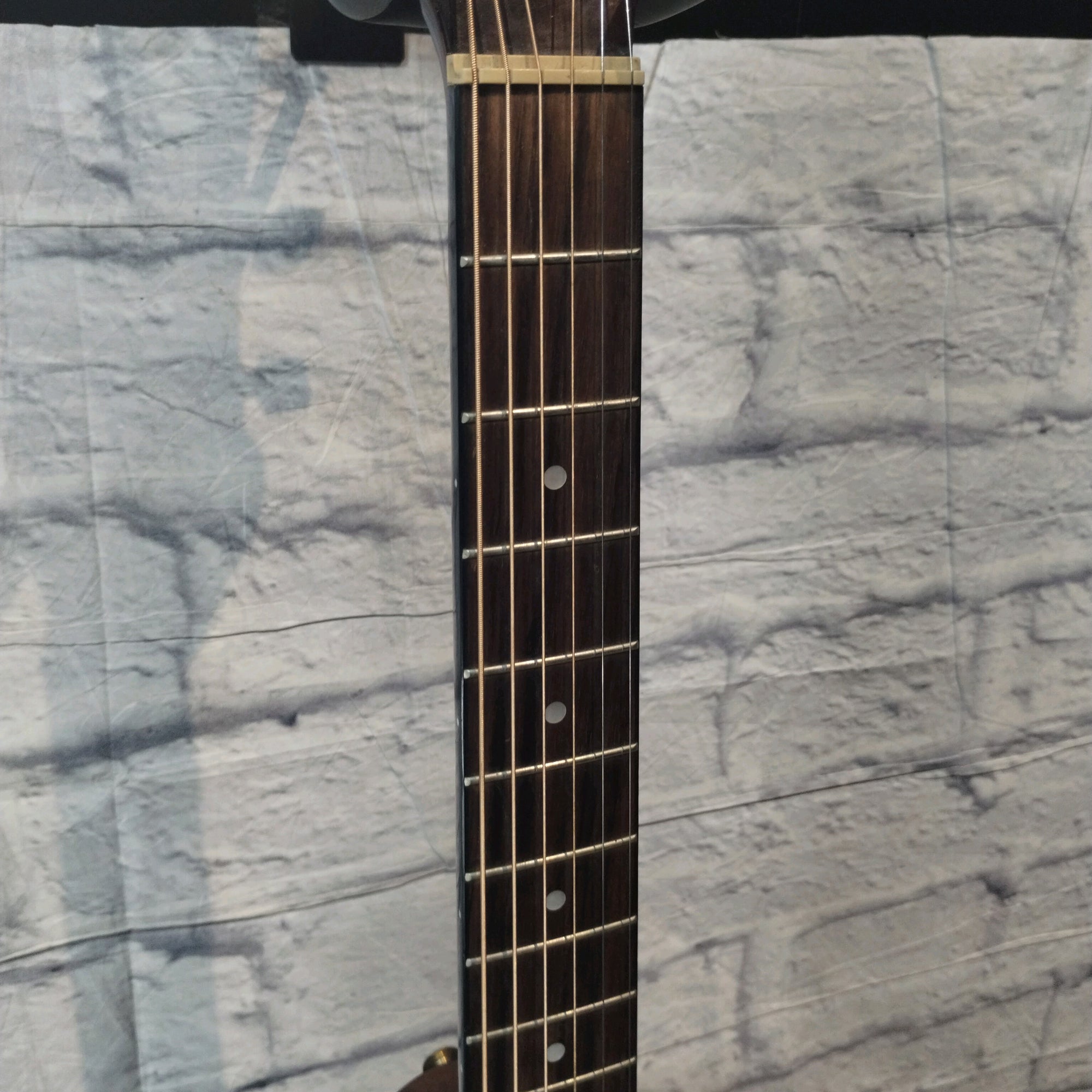 Ibanez PF5ece Acoustic Electric Guitar