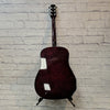 Peavey Gold Acoustic Guitar