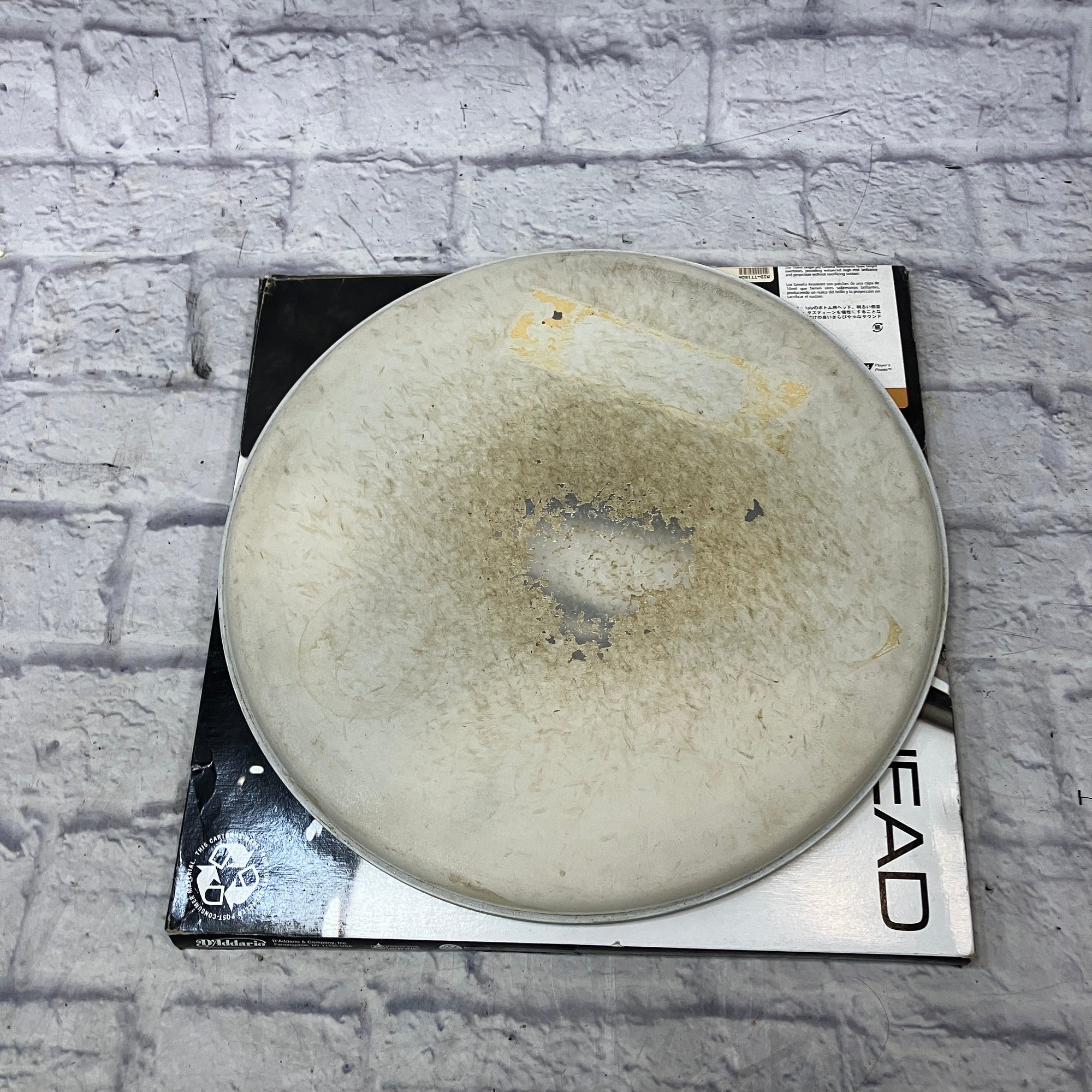 Evans 16 Inch Drum Head With Box Drum Head