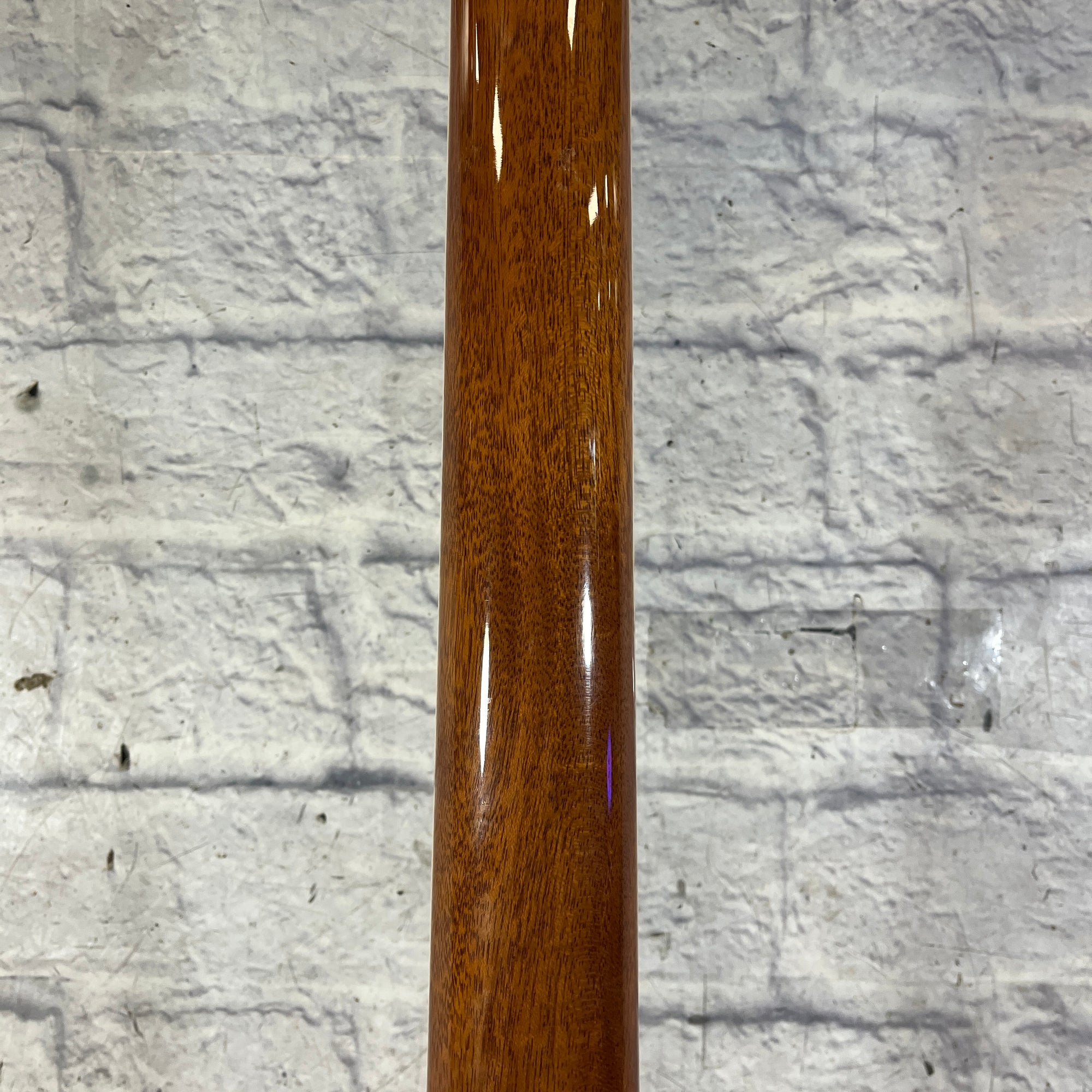 Michael Kelly MKCC5N 5 String Acoustic Bass with Hard Case