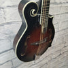 Michael Kelly L-Plus Mandolin