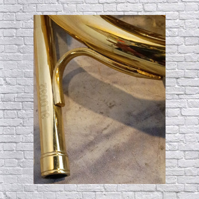 Jean Baptiste Beginner Sized Fench Horn