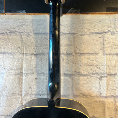 Ensenada 14 Fret Acoustic Guitar Concert Acoustic