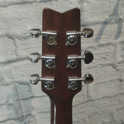 Washburn D-100sb Acoustic Guitar Flame Top