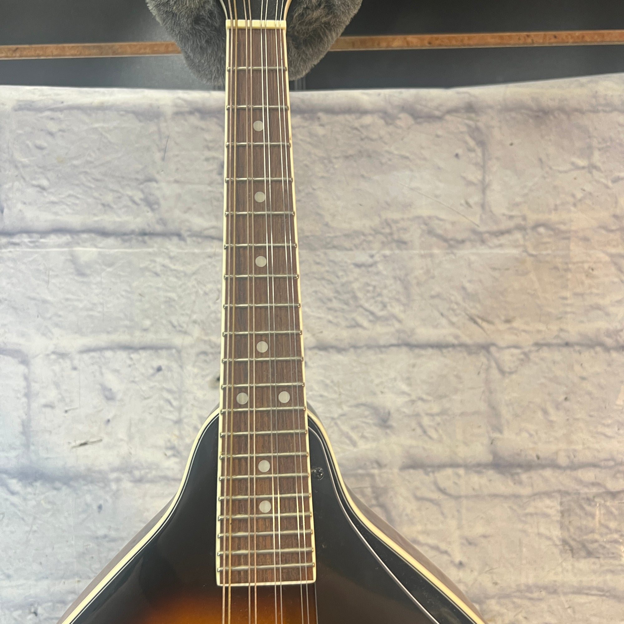 Rogue RM100A A Style Mandolin