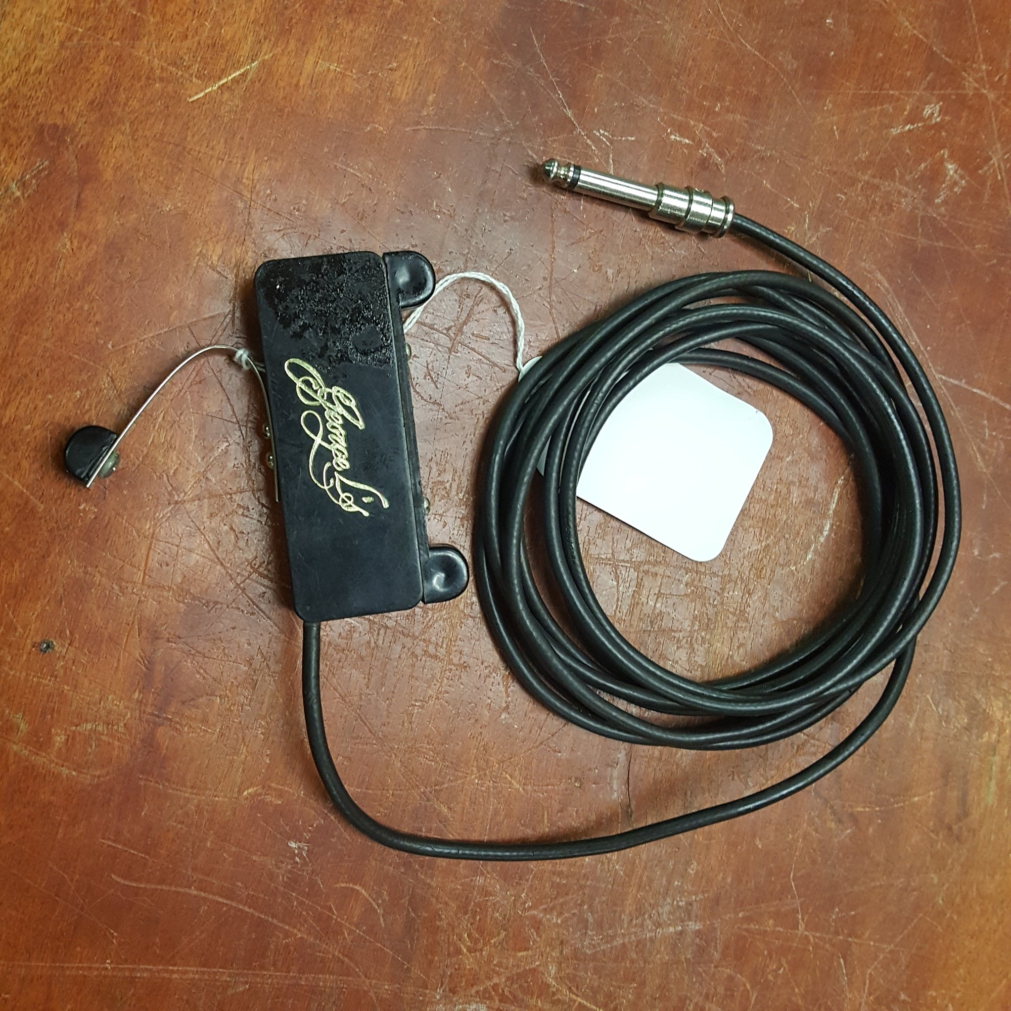 George L Acoustic Pickup