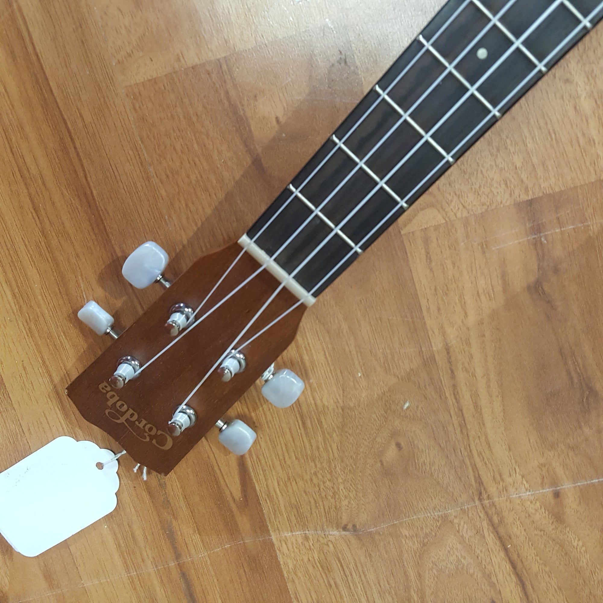 Cordoba 20TM-CE Tenor Ukulele SPLIT TOP