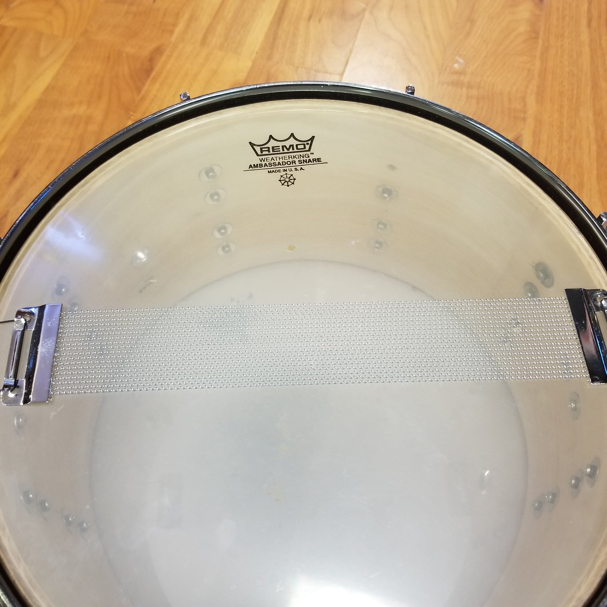 DDrum 13 x 7 Dominion Ash Snare Drum - Evolution Music
