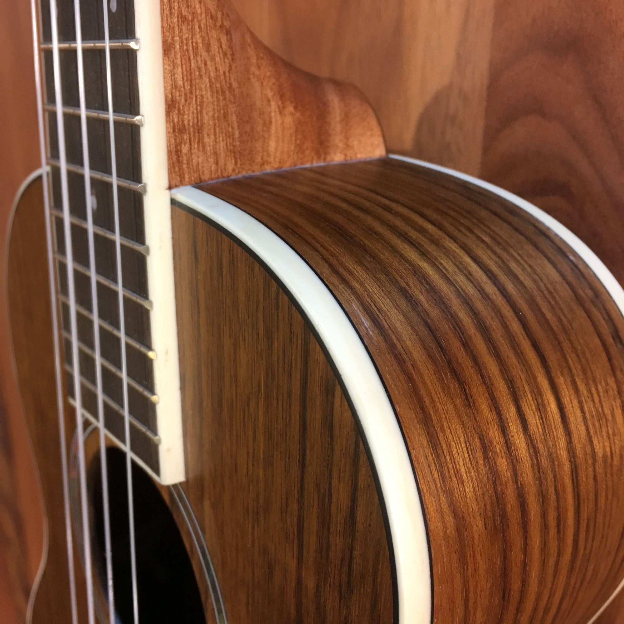 Fender California Coast Rincon Tenor Acoustic Electric Ukulele