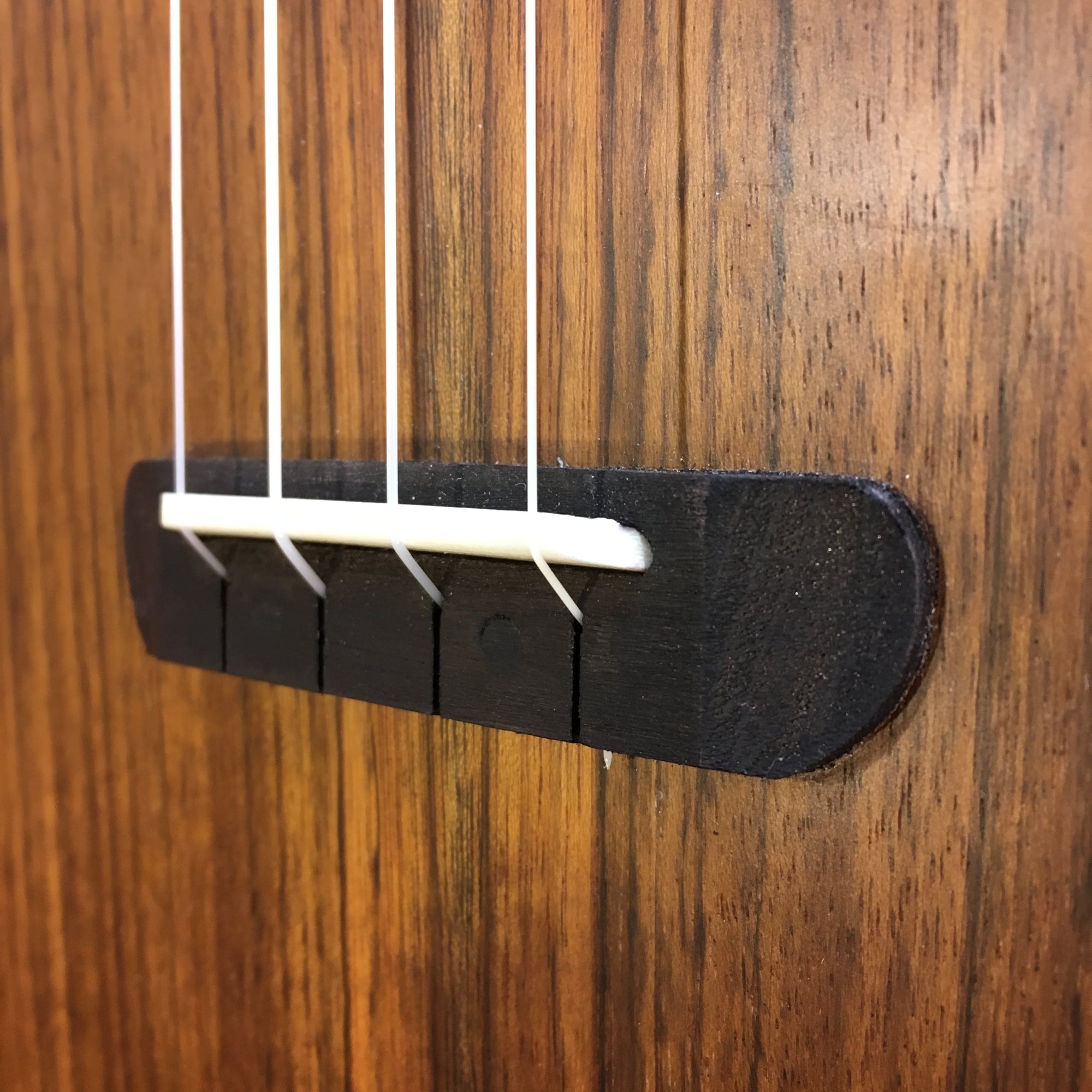 Fender California Coast Rincon Tenor Acoustic Electric Ukulele
