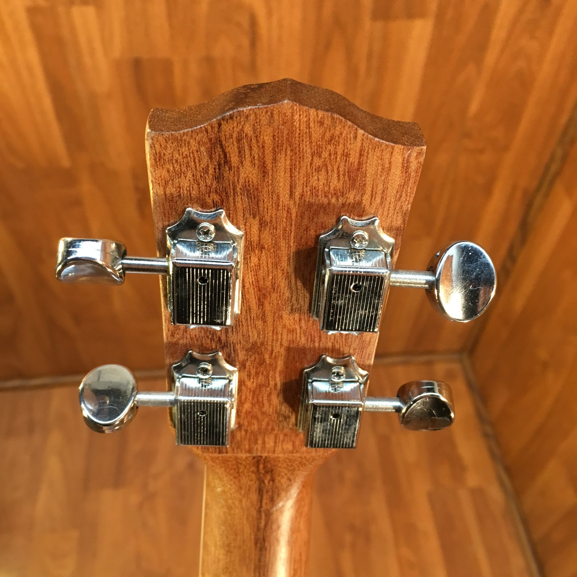 Fender California Coast Rincon Tenor Acoustic Electric Ukulele