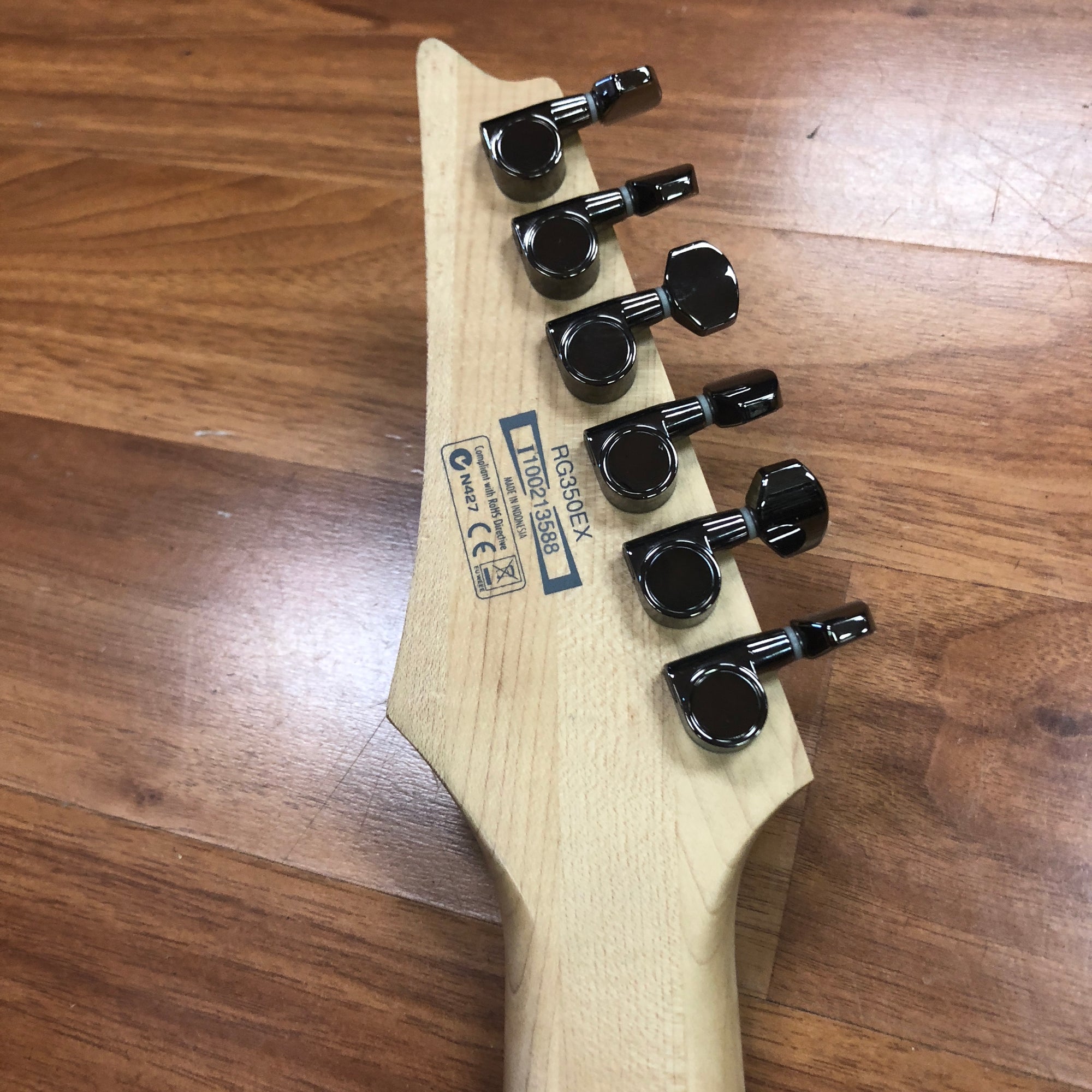 Ibanez RG Partscaster