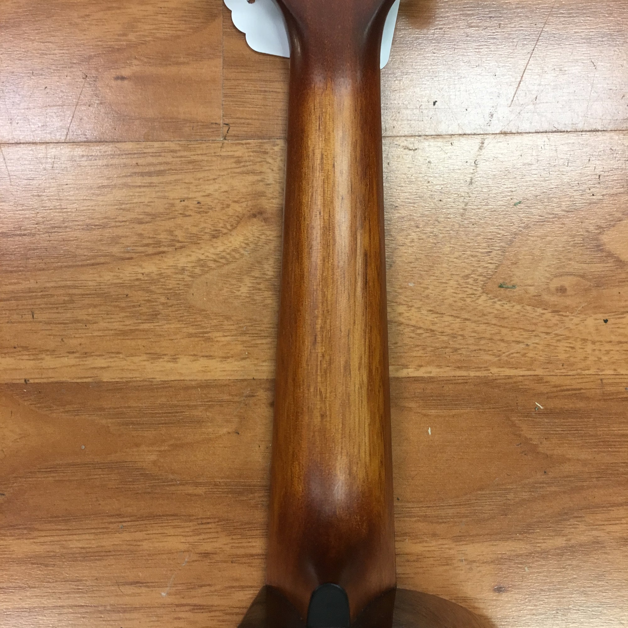 Breedlove Pursuit Ex CU CE BO Acoustic Electric Ukulele