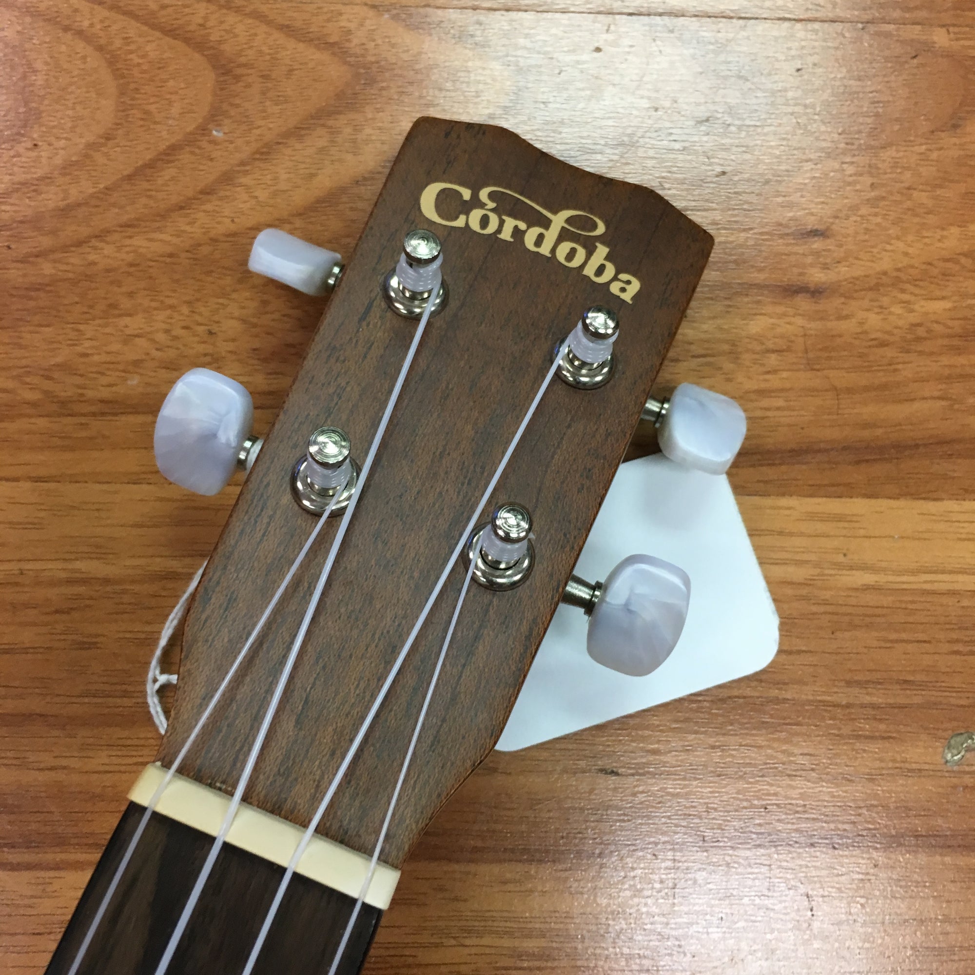 Cordoba 20TM Tenor Ukulele
