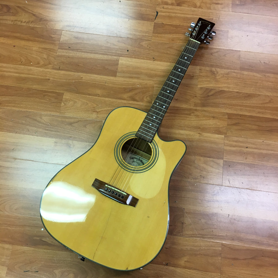 Sigma DM-1 stce
