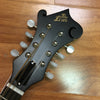 Loar LM-310F F Style Mandolin