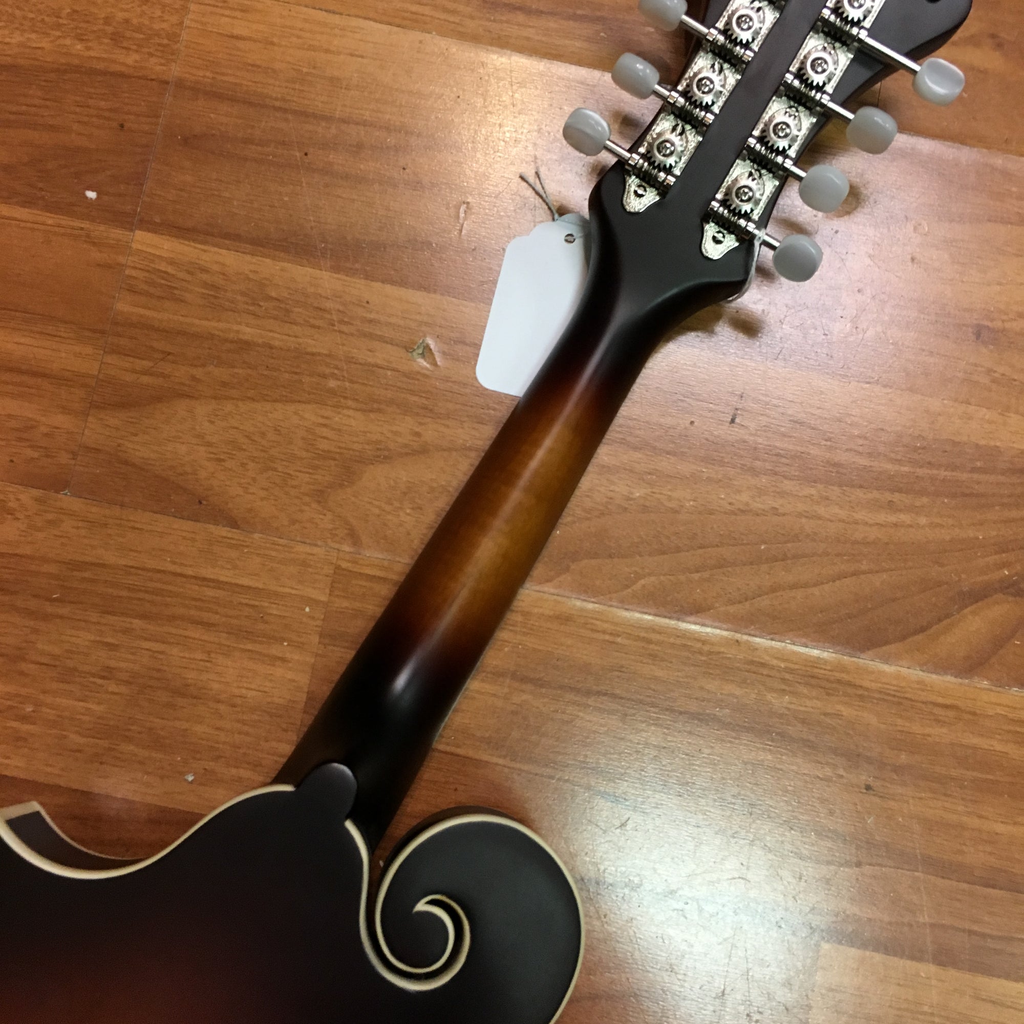Loar LM-310F F Style Mandolin