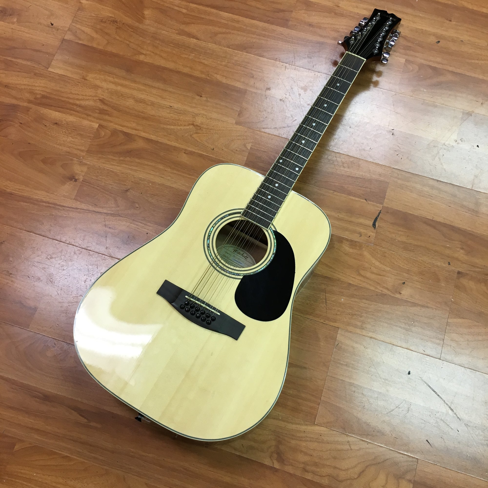 Mitchell 12 String