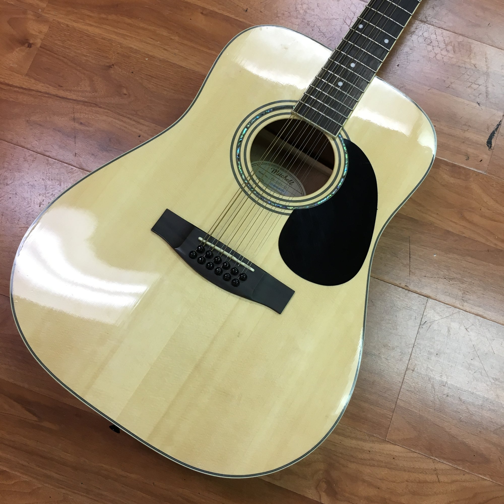 Mitchell 12 String