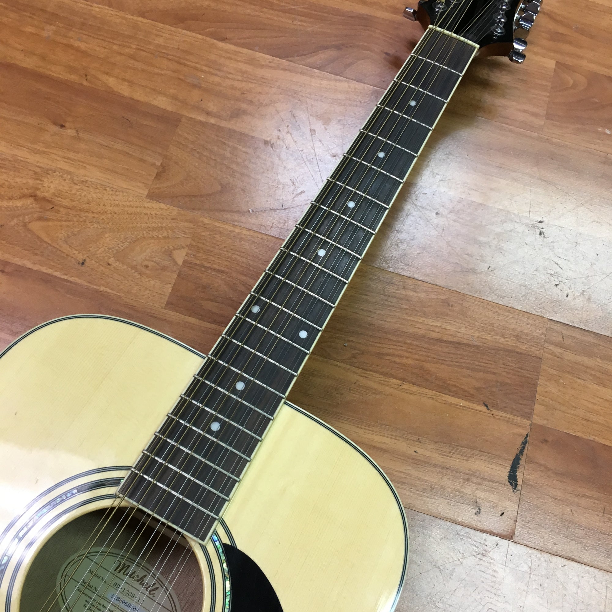 Mitchell 12 String