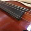 Palatino VN350 Violin with case As-Is
