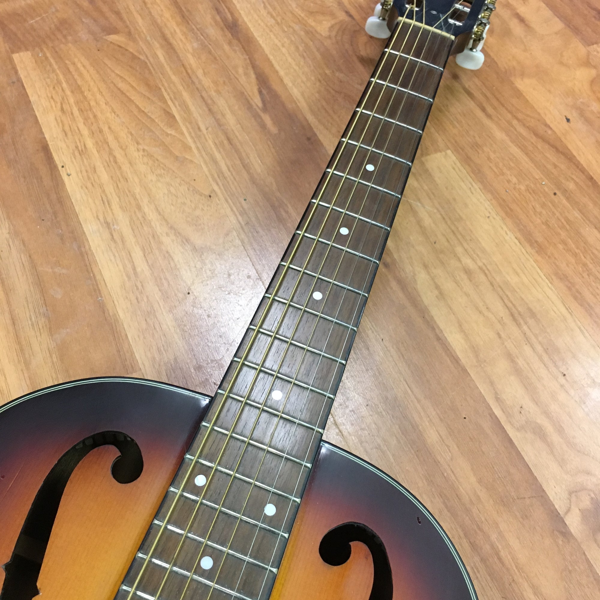 S101 Resonator Dobro