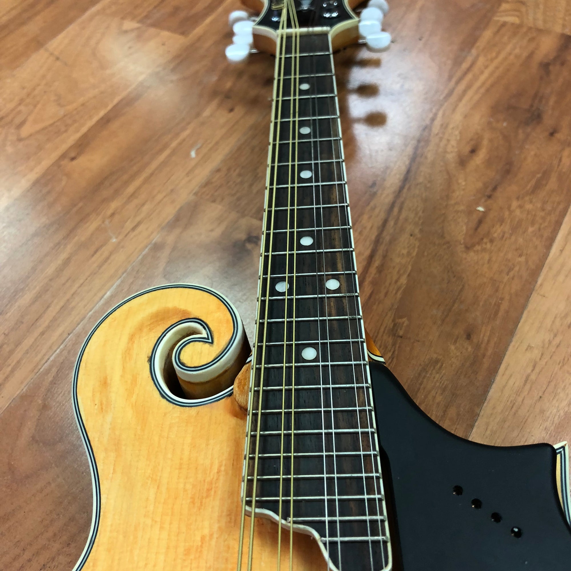 Epiphone MM50E F Style Mandolin