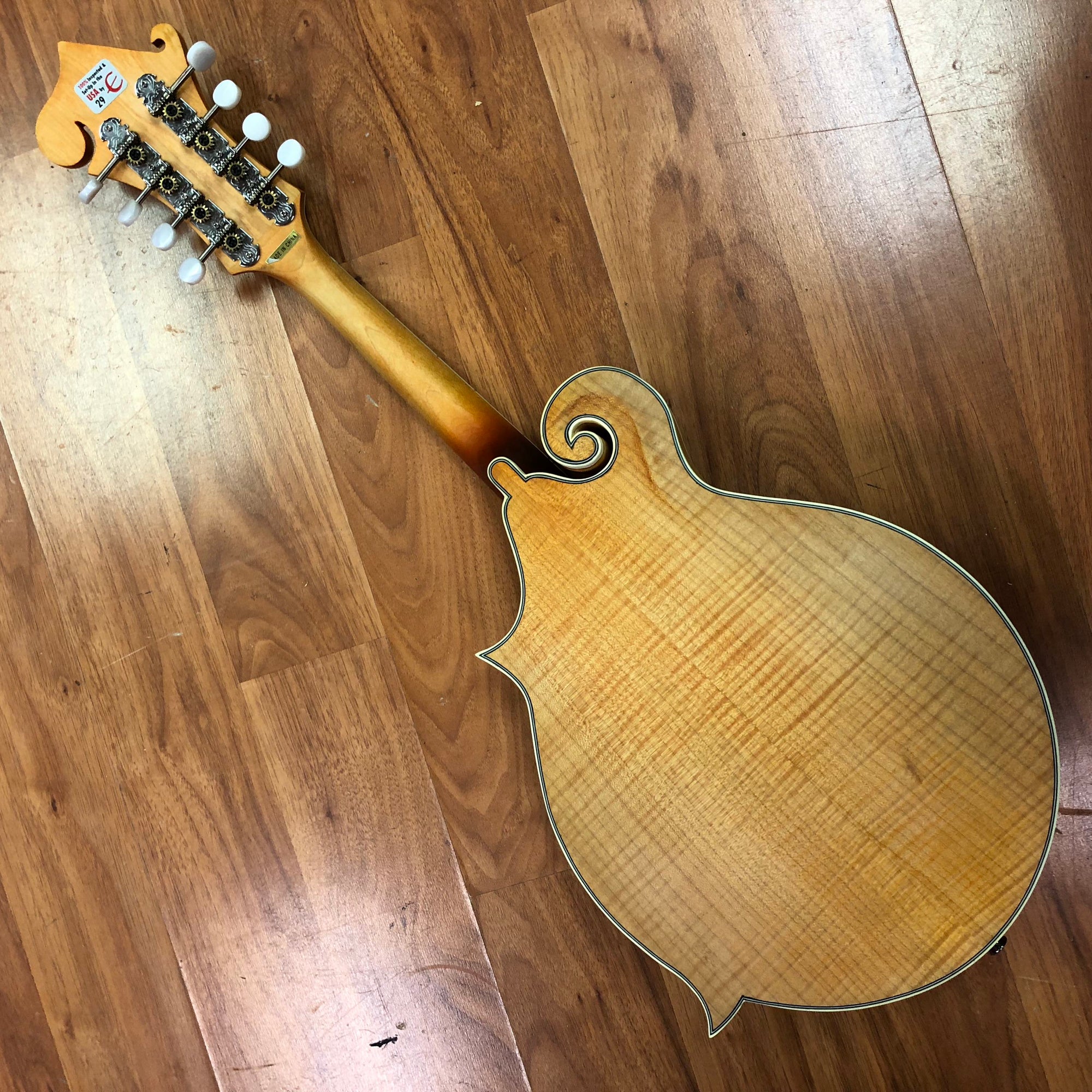 Epiphone MM50E F Style Mandolin
