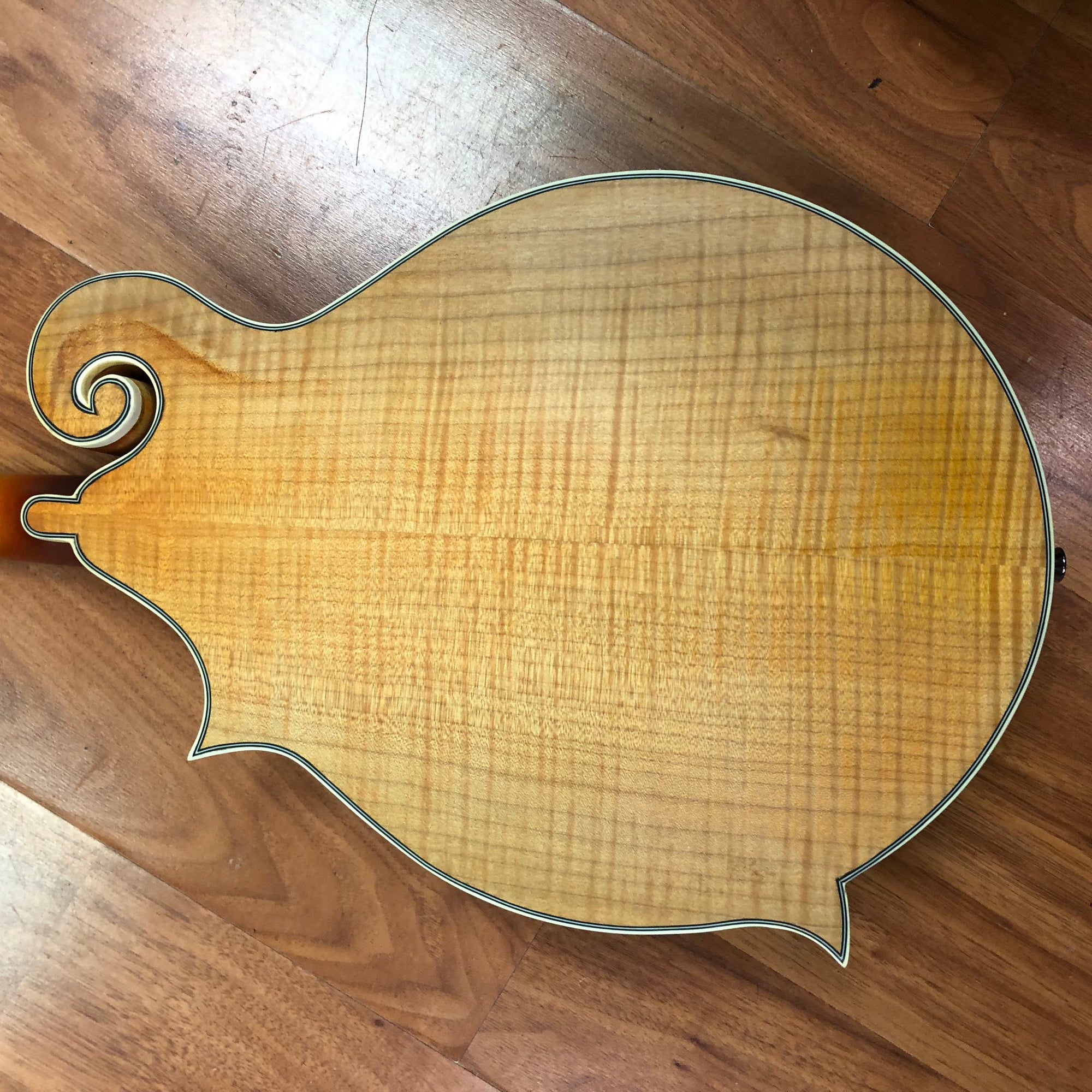 Epiphone MM50E F Style Mandolin