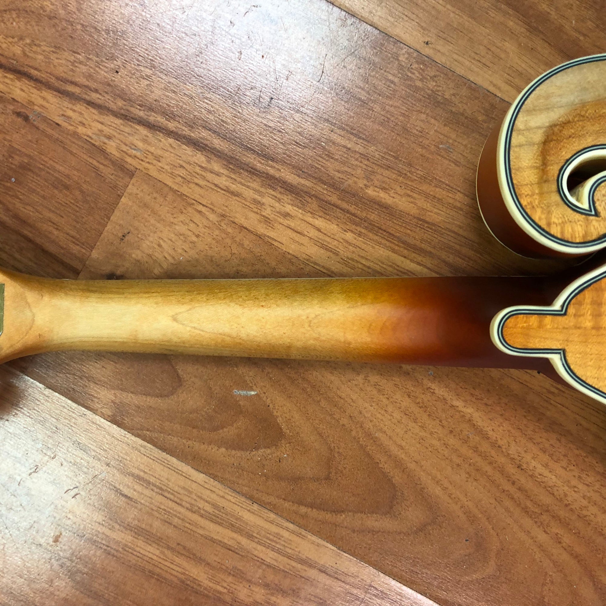Epiphone MM50E F Style Mandolin
