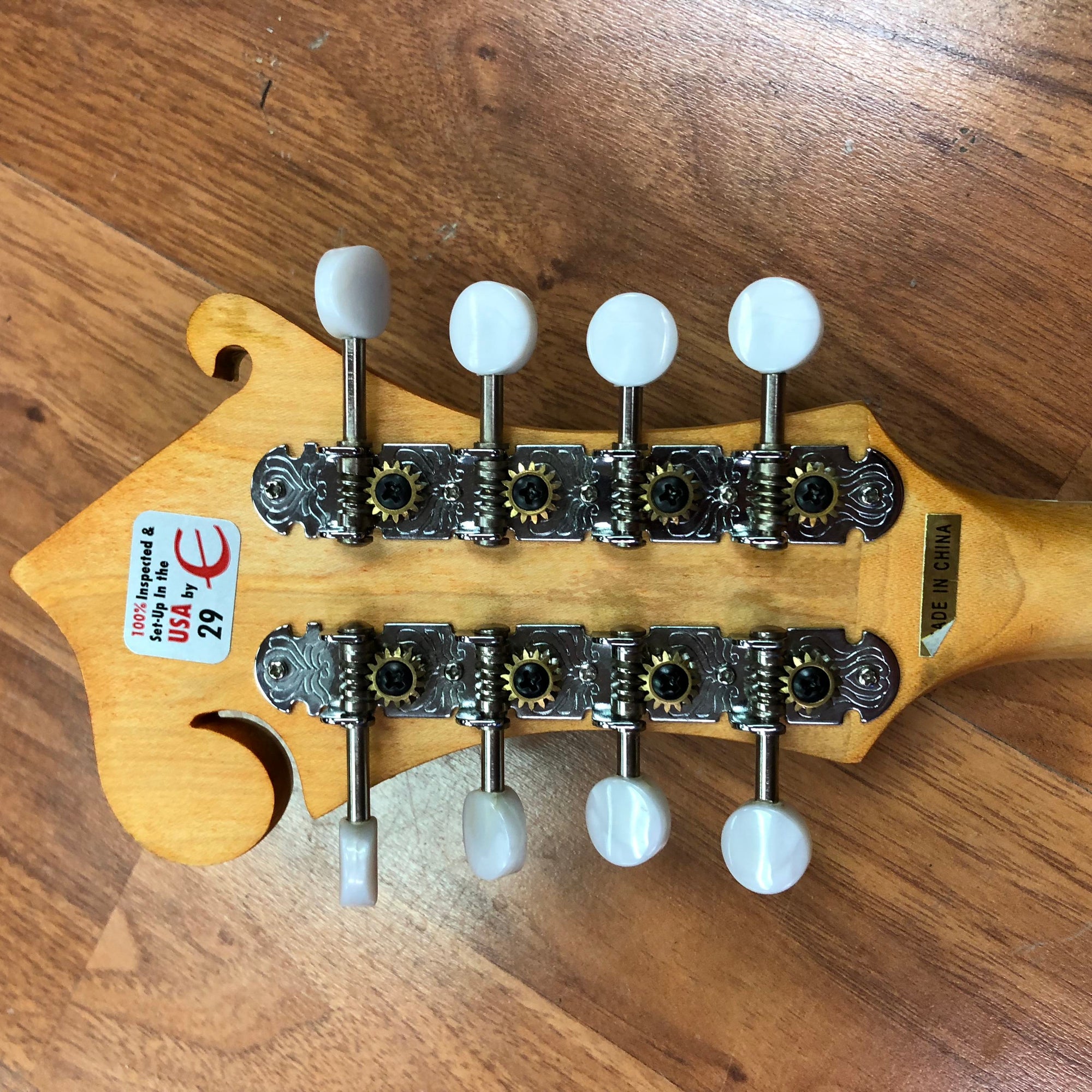 Epiphone MM50E F Style Mandolin