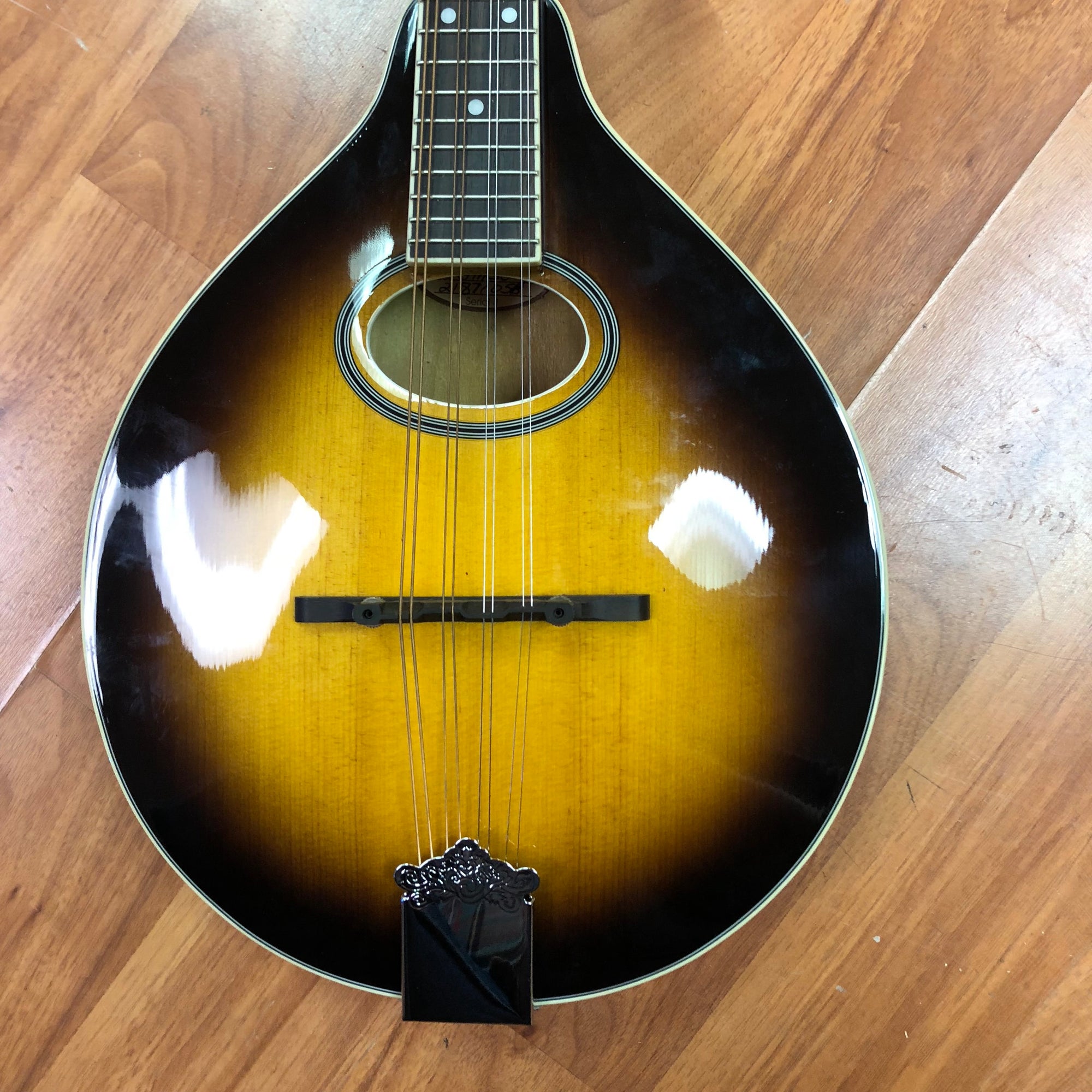 Goldtone GM-50 A Style Mandolin