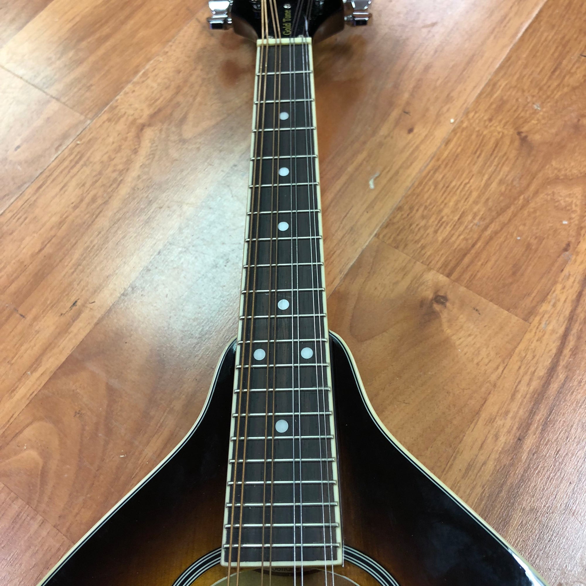 Goldtone GM-50 A Style Mandolin