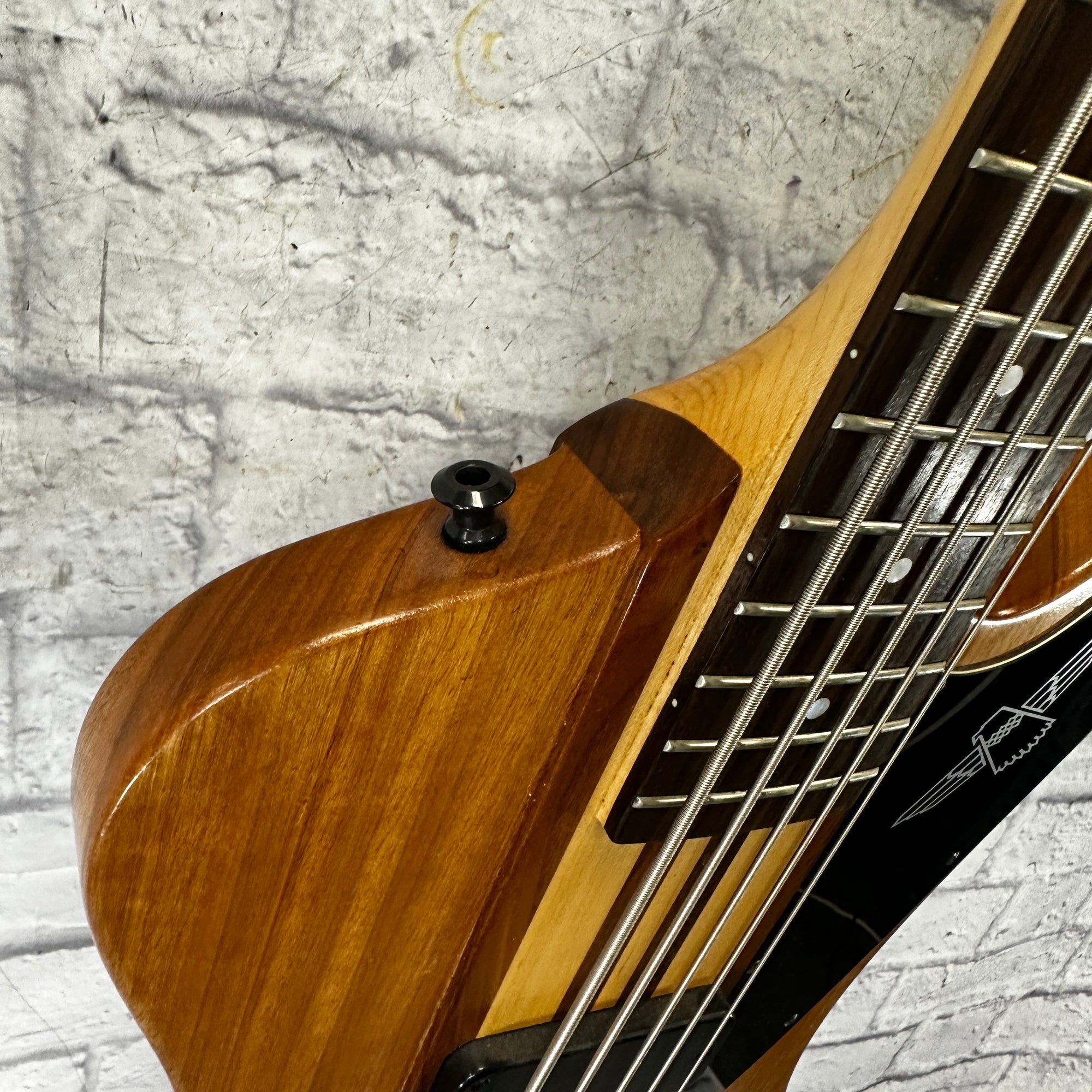 Epiphone Thunderbird Pro V Electric Bass | zZounds