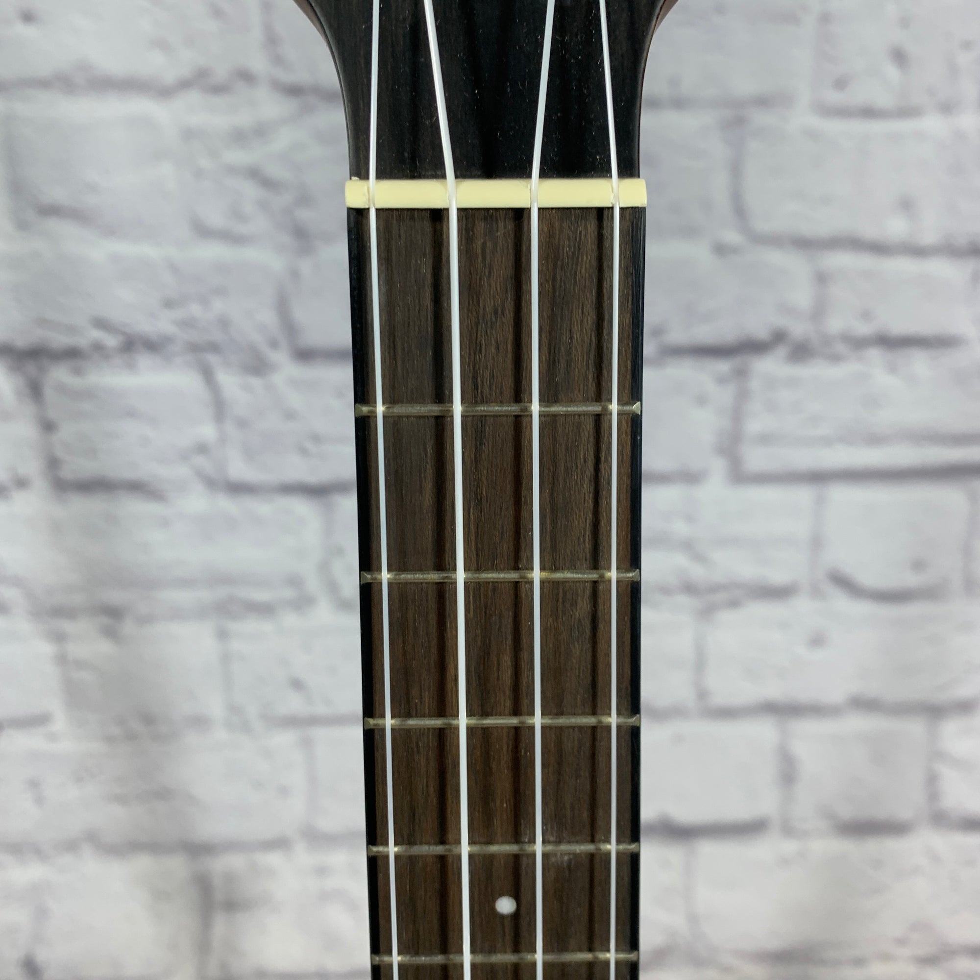 Breedlove EX S Tenor Uke TE CE Ukulele