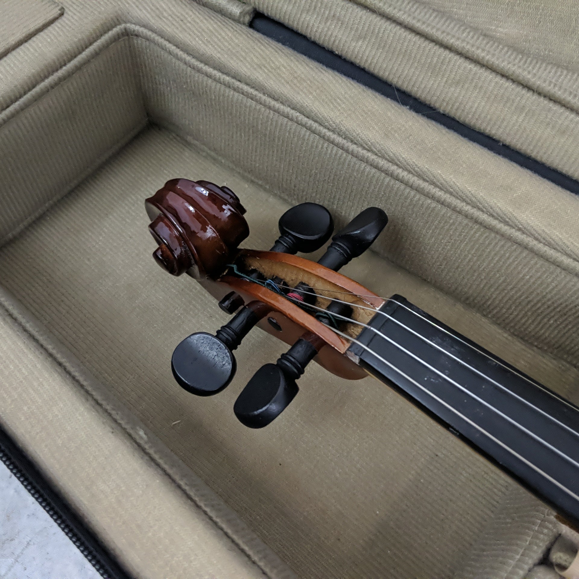 Palatino VN-350 4/4 Violin with Black Case and Fishman Tuner