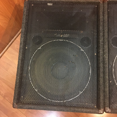 Sonic Custom w/ Black Widow 15" Speaker Pair