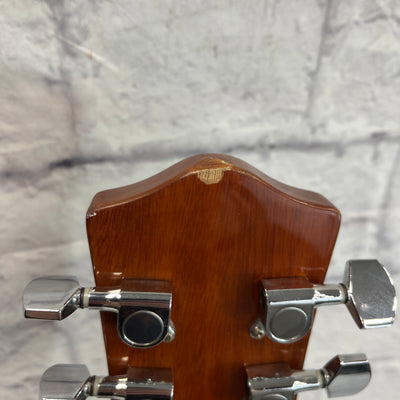 Firebrand 39304 Dreadnaught Acoustic Guitar