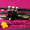 Bach TR-300 224597 Trumpet Outfit Black