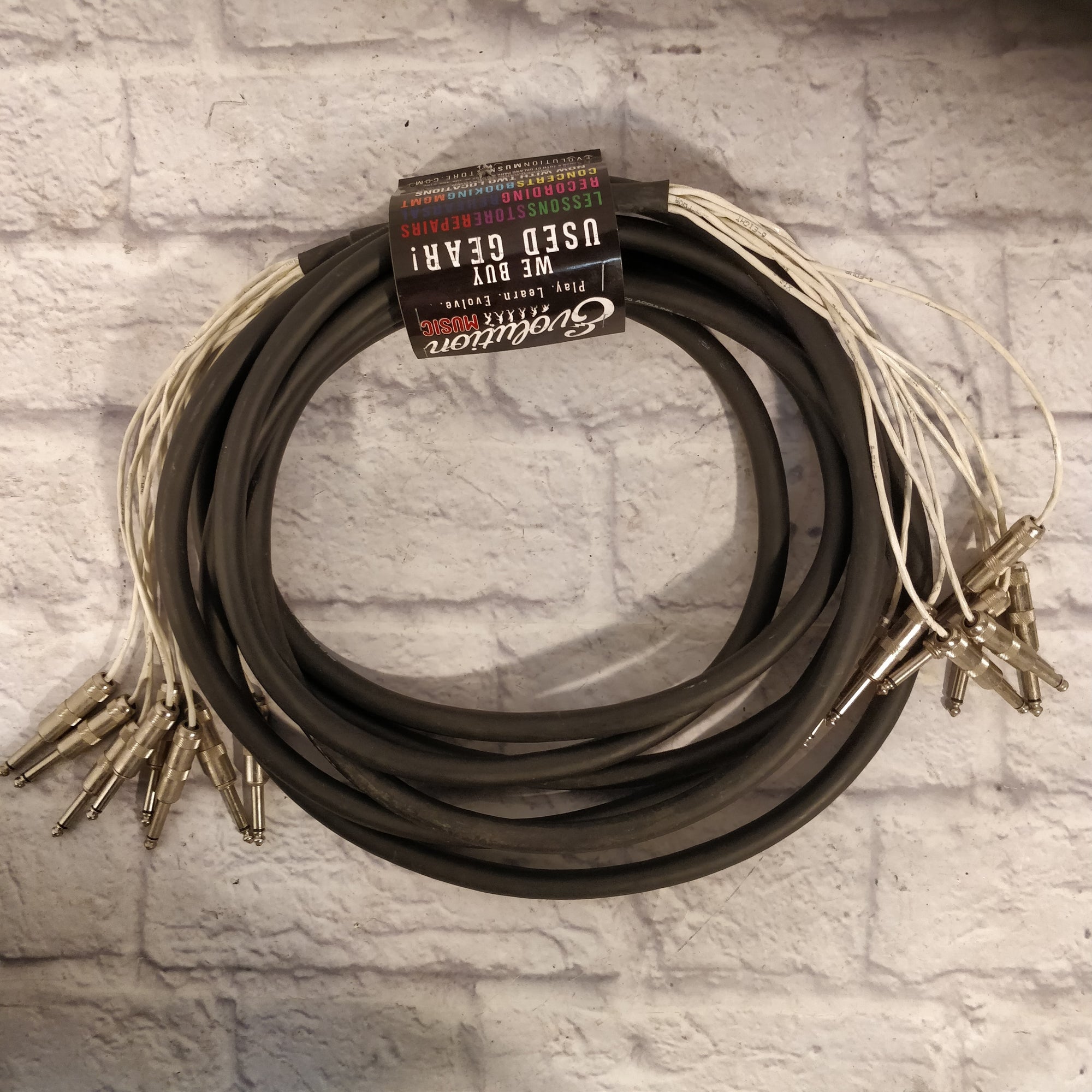 Proco Snake Cable (1/4" TS x 8) 16.5 Feet