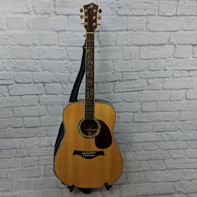 Allen Amplification EWD-30S Dreadnought Acoustic Guitar w/Case