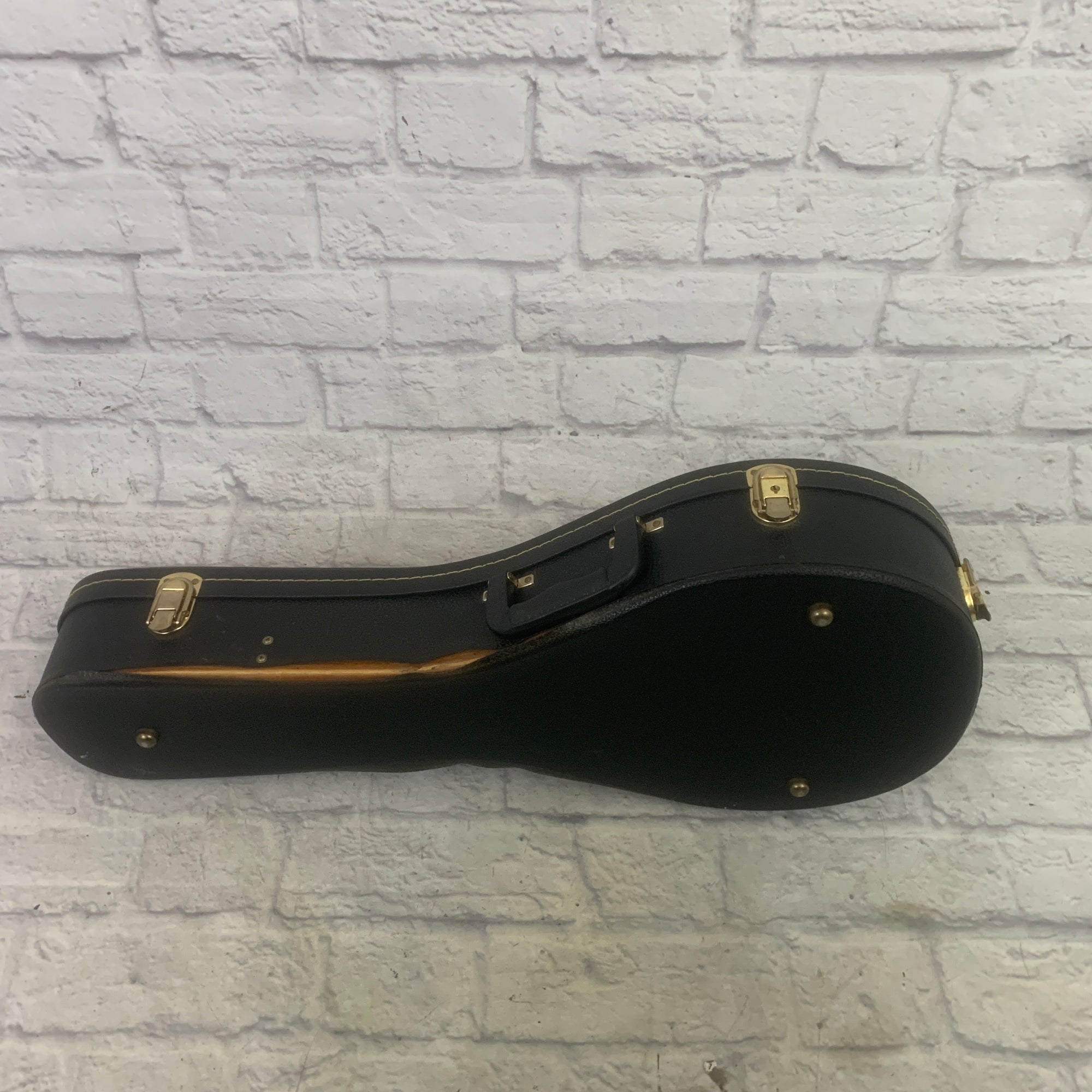 Unknown Mandolin Case Mandolin Case