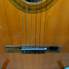 Washburn C-20N Classical Acoustic Guitar