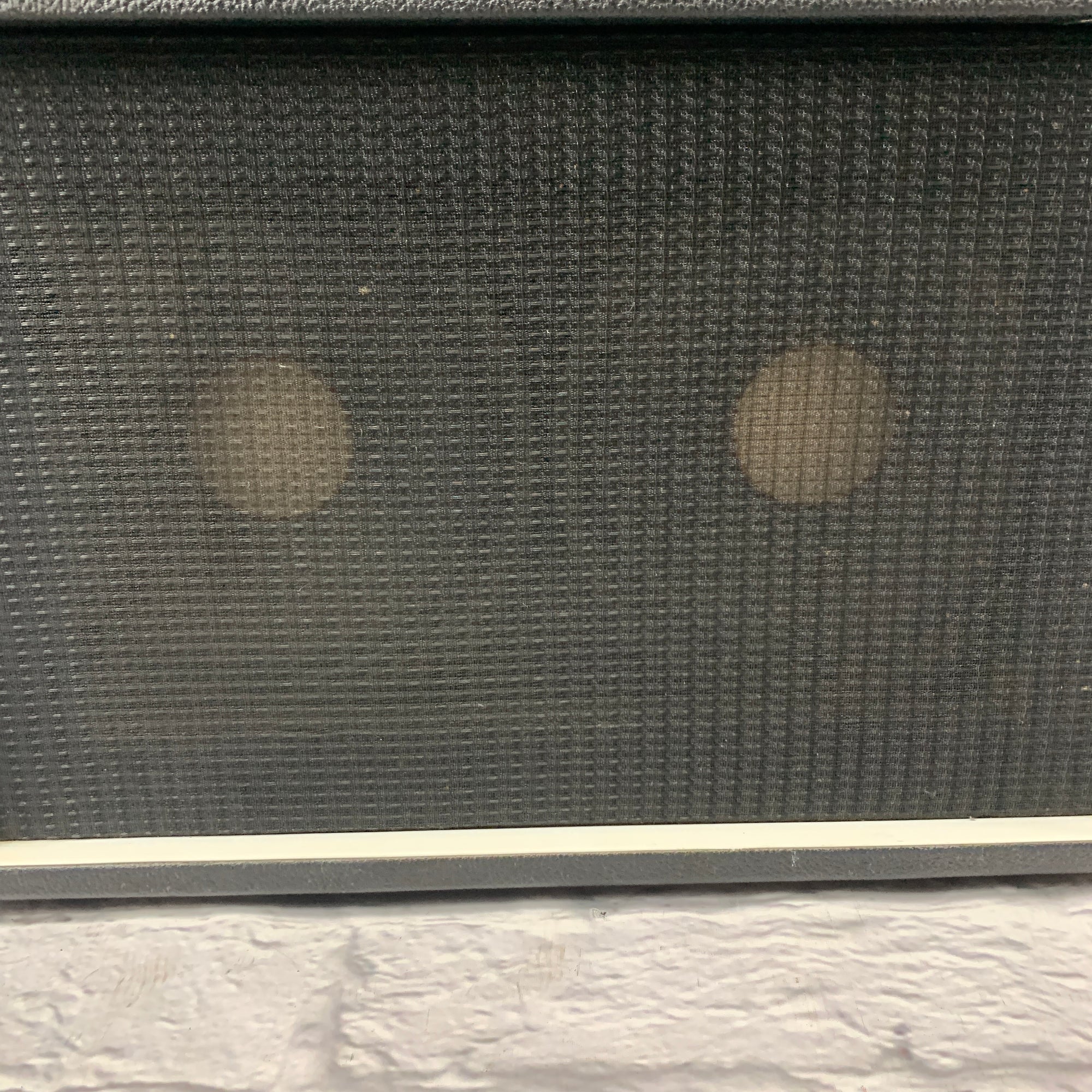 Acoustic Control Corp. Model 114 2x10 Guitar Combo