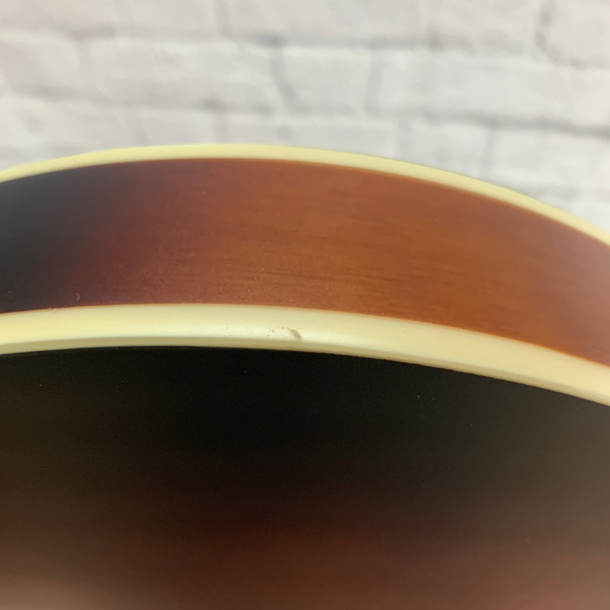 The Loar Mandolin Lm310f BRB